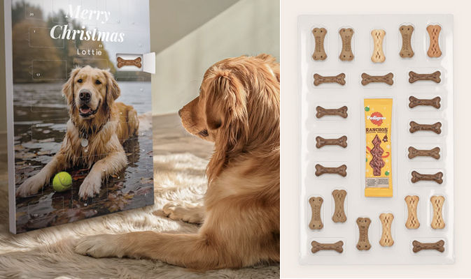 Diy hund adventskalender med hundgodis