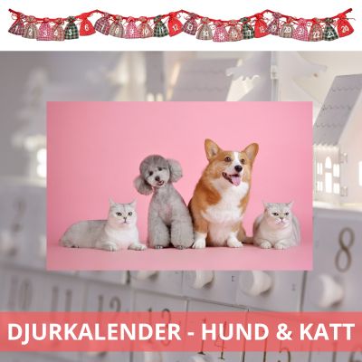 Djurkalender - Julkalender för hundar och katter