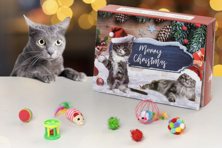 Katt adventskalender - Kattleksaker