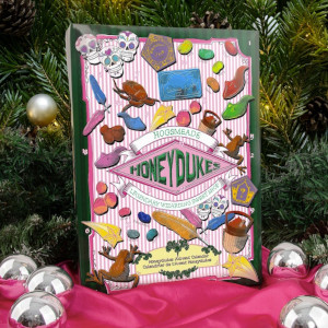 Harry Potter adventskalender barn 2025