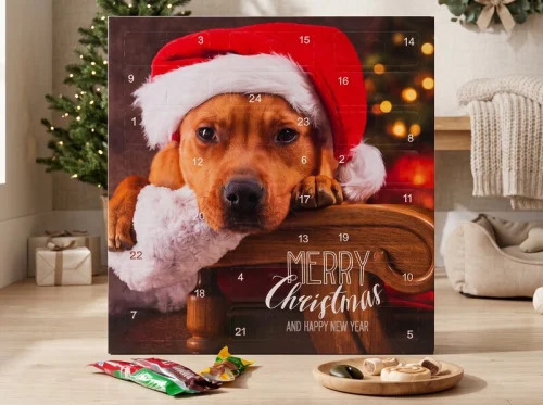 Adventskalender med Hundgodis