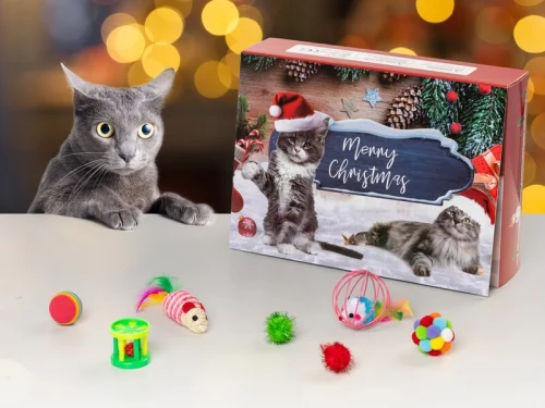 adventskalender med Kattleksaker